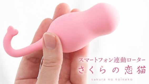 ���̗��L,�l�i,���͂�