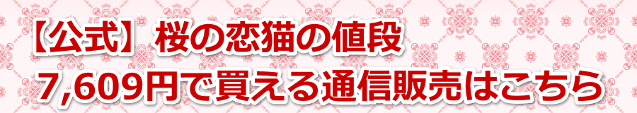 �y�����z���̗��L�̒l�i��7,609�~�Ŕ�����ʐM�̔��͂�����