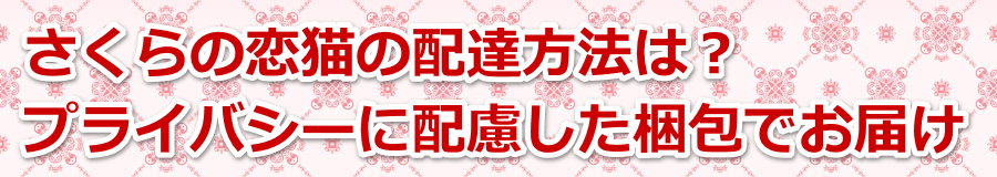 ������̗��L�̔z�B���@�́H�v���C�o�V�[�ɔz����������ł��͂�